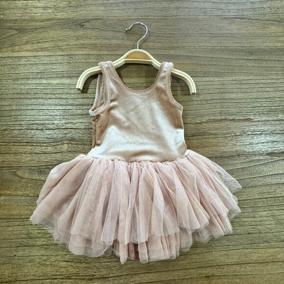 noralee Other - Noralee Dusty Rose Tallulah Tutu Leotard Dress - Size 2